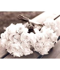 Cherished Ceremonies Weddings