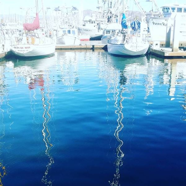 Beach Weddings Ceremonies at Ventura Harbor Village