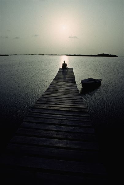 Brenda Falvey Photography