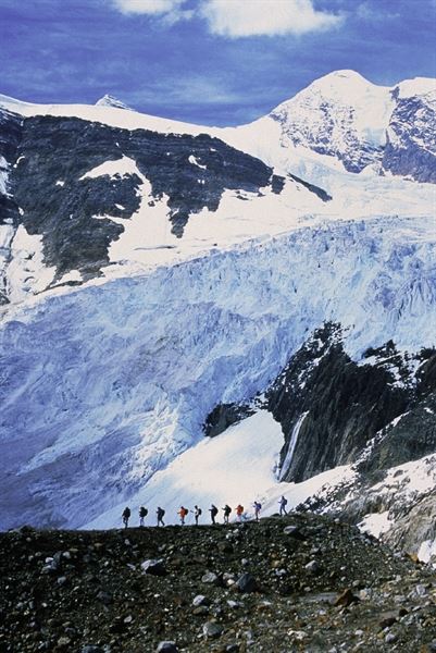 Brenda Falvey Photography