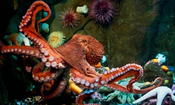 Shaw Centre for the Salish Sea