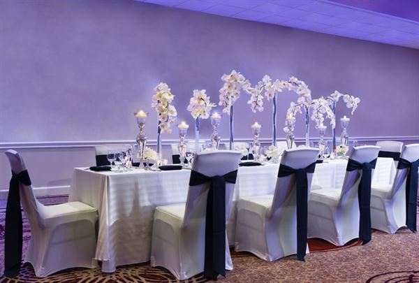 Sheraton Tampa Brandon Hotel