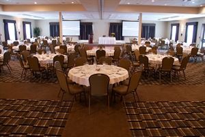 Osprey and Whitetail Combined