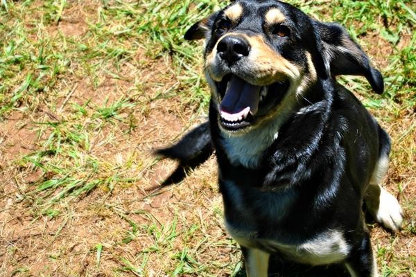 Katrina Linn Photography