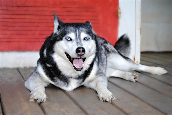 Katrina Linn Photography