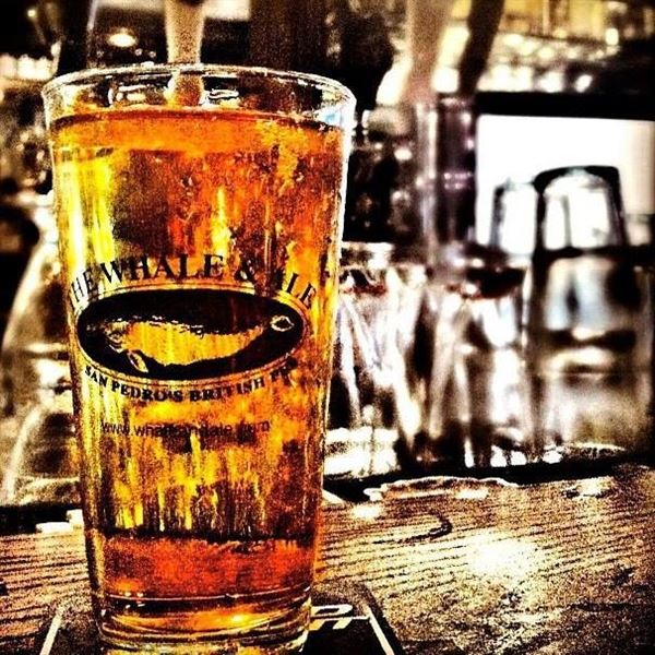 The Whale & Ale, Inc.