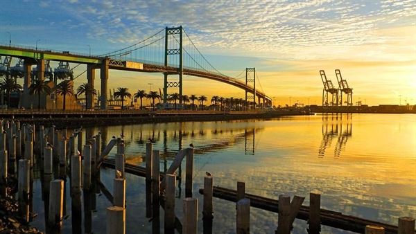 The Whale & Ale, Inc.