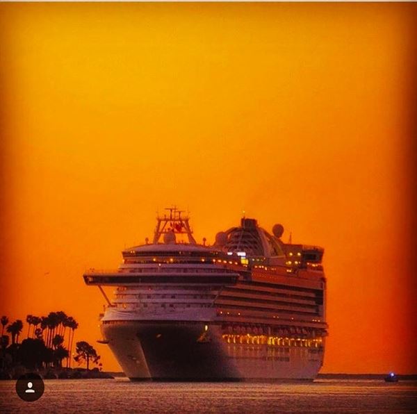 The Whale & Ale, Inc.