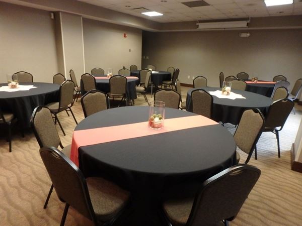 Comfort Suites Northlake