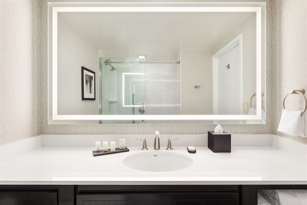 Embassy Suites Irvine - Orange County Airport