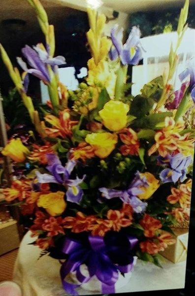 All Occasion Flowers