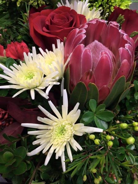 All Occasion Flowers