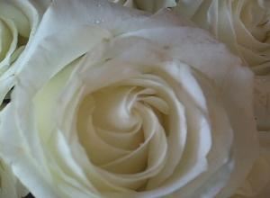 Candlelight Productions