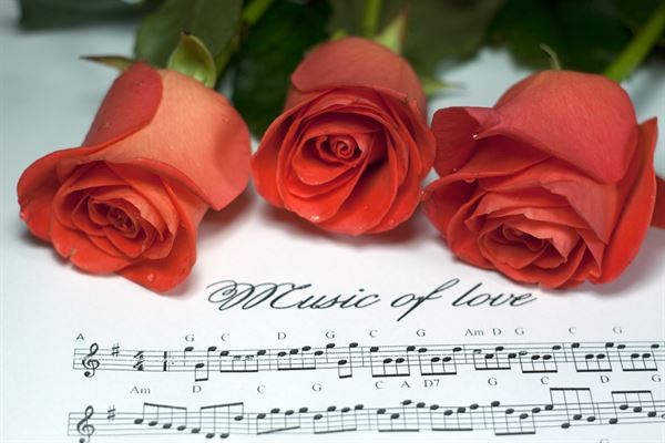 Allegro Academy of Music, Dance,Etiquette