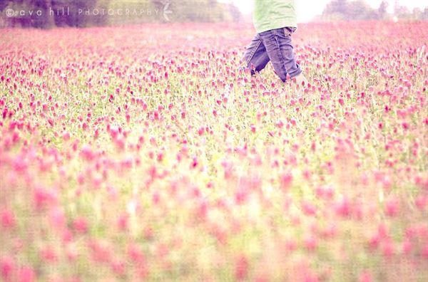 Ava Hill Photography