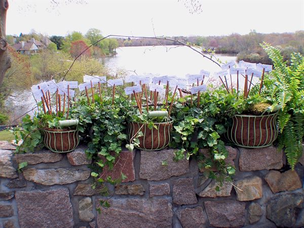 Prynce Party & Event Planning