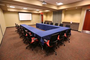 Pelican, River, Bayou, and Shadows