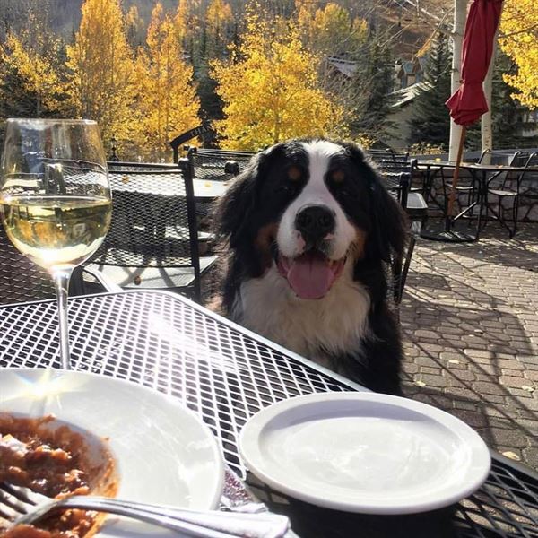 Beaver Creek Chophouse