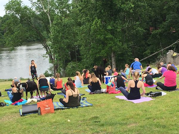 Little Goat Farm at the Lake
