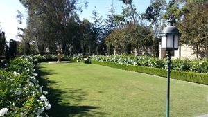 The Formal Gardens