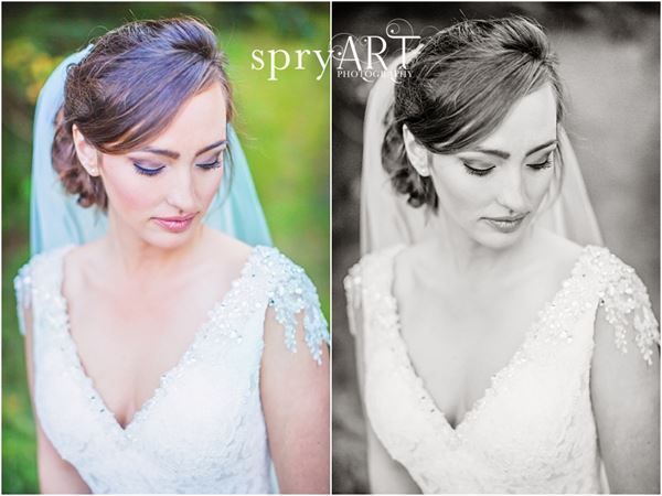 spryART photography