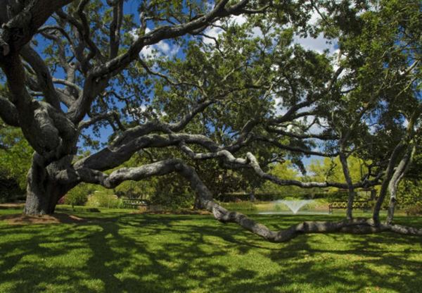 Grand Hotel Marriott Resort, Golf Club & Spa