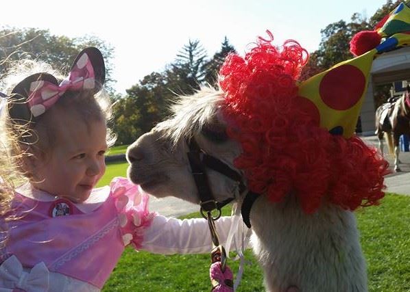 Chamberlin Pony Rides & Mobile Petting Zoo