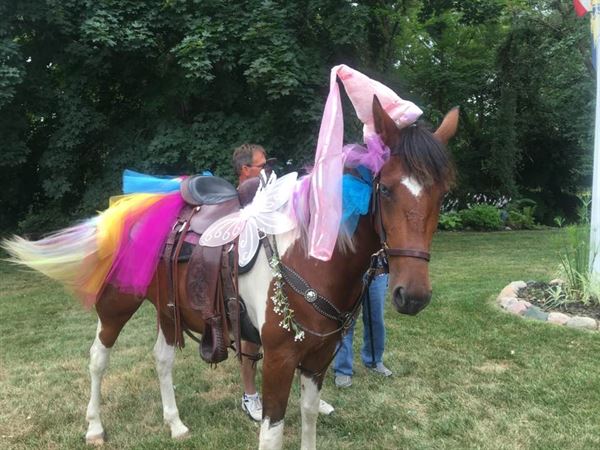 Chamberlin Pony Rides & Mobile Petting Zoo