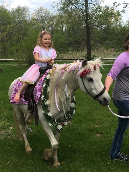 Chamberlin Pony Rides & Mobile Petting Zoo
