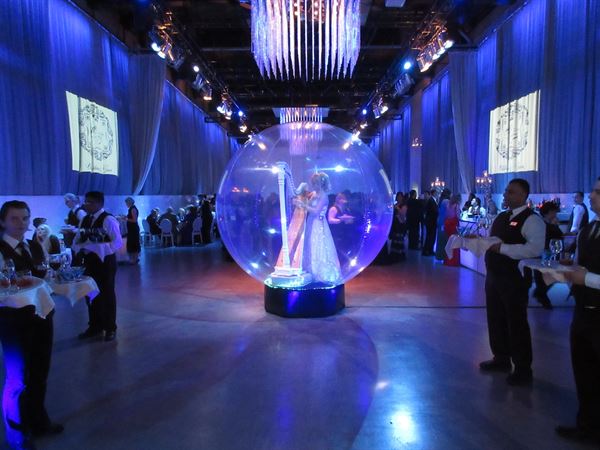 Elena Musician - Montreal