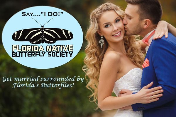 The Butterfly Estates