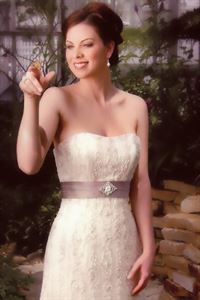 Florida Native Butterfly Society