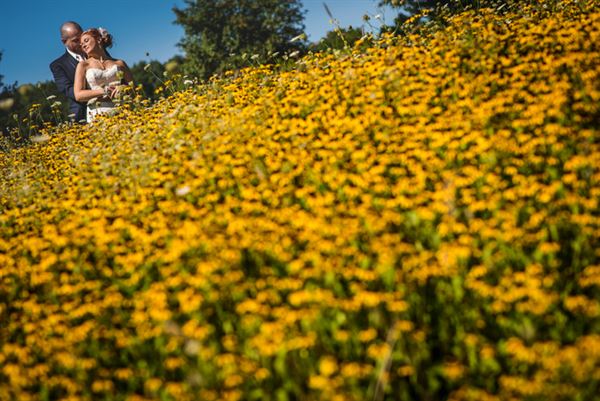 The Holden Arboretum