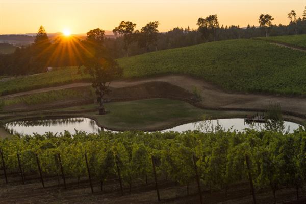 Eola Hills Wine Cellars