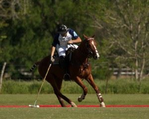 Houston Polo Club