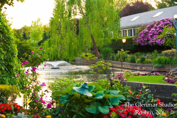 Swan Club On The Harbor