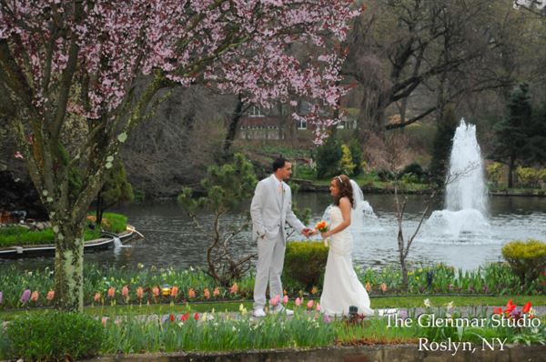 Swan Club On The Harbor