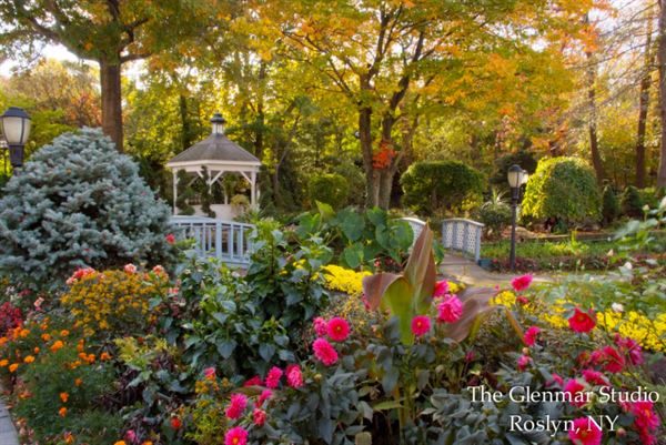 Swan Club On The Harbor