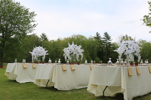 Elegant Accessories Plus