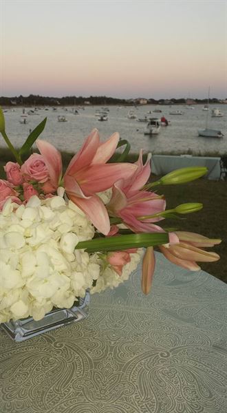 Elegant Accessories Plus