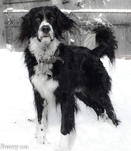 Kelly Ergle Photography