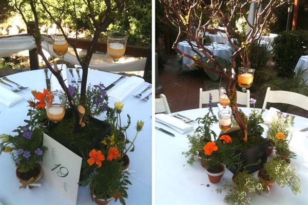 Inn of the Seventh Ray