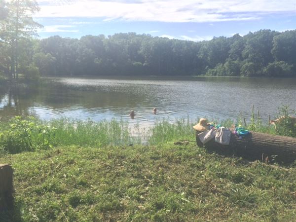 Little Goat Farm at the Lake