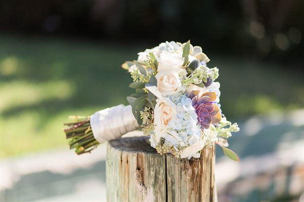 The Sailfish Marina Resort