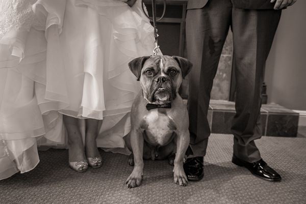 Beaver Brook Country Club