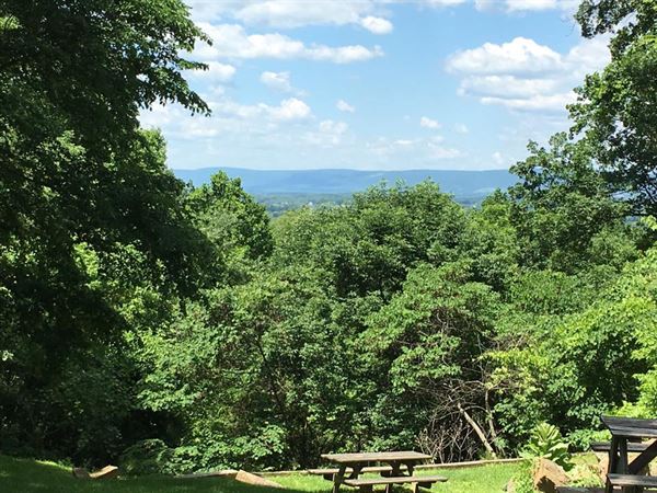 Willowcroft Farm Vineyards