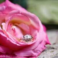 Wedding Photography by Liam