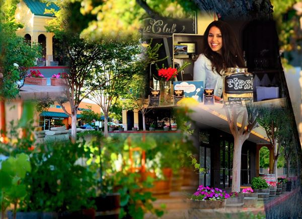 Santa Rosa Vintners Square