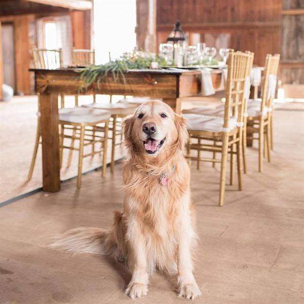 Bear Mountain Inn & Wedding Barn