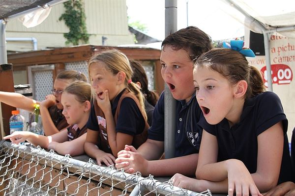 Everglades Holiday Park